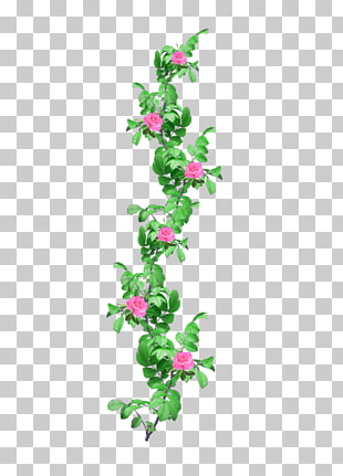 74 Rose Vines Drawings Png Cliparts For Free Download Uihere