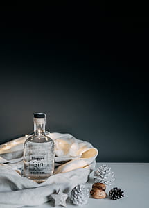 Blogger Gin bottle near pine cone on tabletop thumbnail