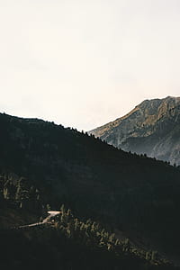 green trees on mountain thumbnail