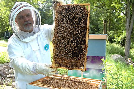 man holding bees board thumbnail