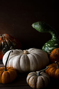 assorted pumpkins thumbnail