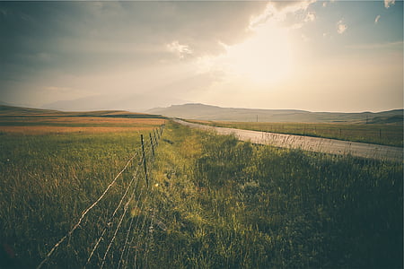 landscape photography of road surrounded with grasses thumbnail