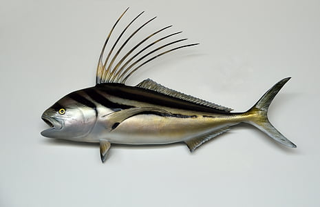 gray fish decor thumbnail