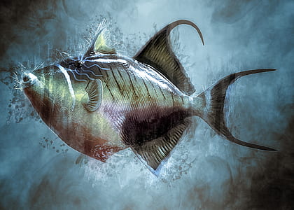 gray fish thumbnail