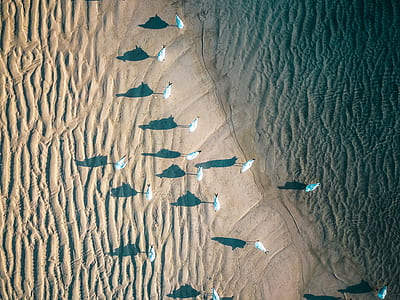 bird's-eye view photo of beach thumbnail