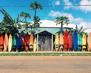 longboard surfboard beside house thumbnail