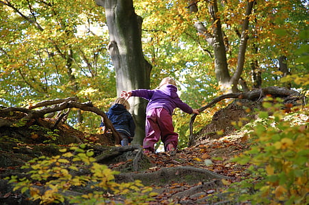 two kids climbing a hill at daytime thumbnail