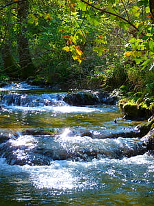 landscape photo of flowing water river thumbnail