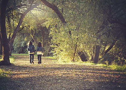 two girl wearing blue denim jackets walking on the forest thumbnail