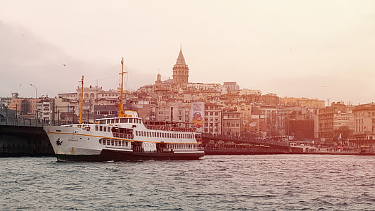 white cruise ship on body of water thumbnail