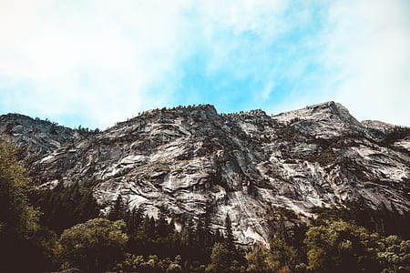 landscape photograph of forest and mountain thumbnail