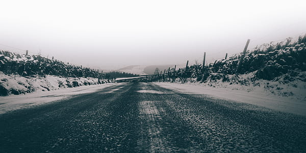 asphalt road between trees covered with snow at daytime thumbnail