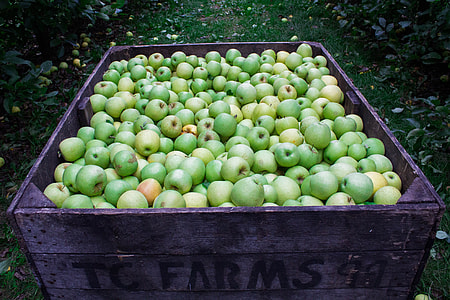 Fresh apples thumbnail