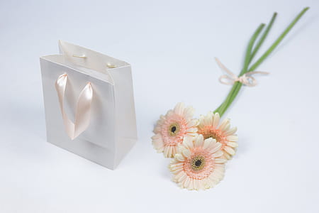 blooming white flowers thumbnail