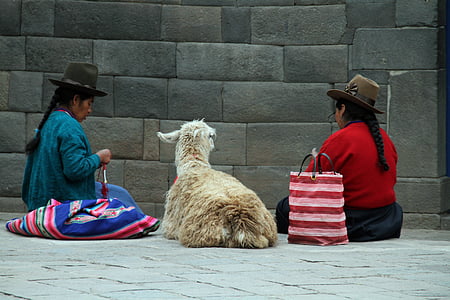 two person sitting on floor with alpaca thumbnail