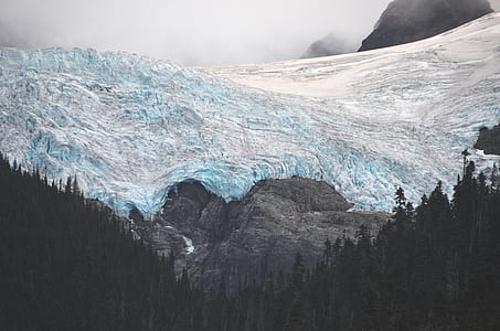 photo of tall trees within snow-covered mountain range during daytime thumbnail