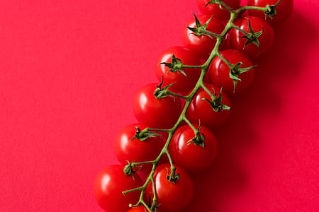 Cherry Tomatoes on Red Background with Room for Text thumbnail