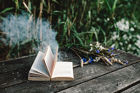 Colorful smoke bomb, book and vintage camera thumbnail