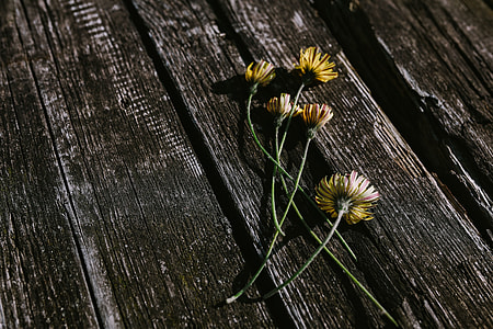 Small flowers, pencils and other things on wood thumbnail
