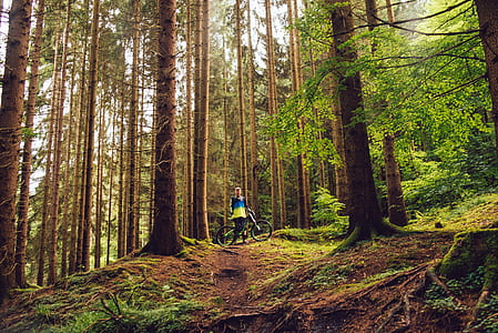 person holding bicycle beside trees thumbnail