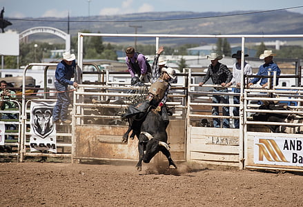 man riding bull near white metal fence during daytime thumbnail