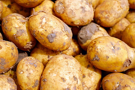 closeup photography of brown potatoes thumbnail