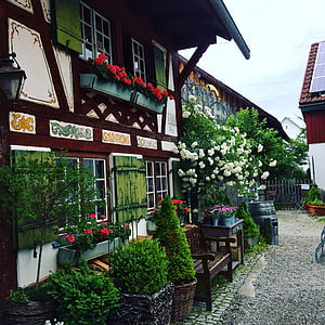 white and brown wooden house surrounded by white and green plants thumbnail