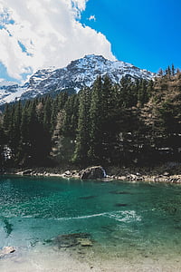 stream water along trees under blue sky thumbnail