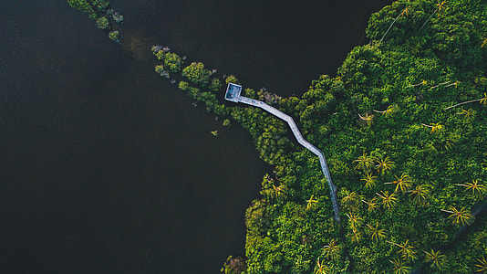 aerial photography of island covered with trees thumbnail