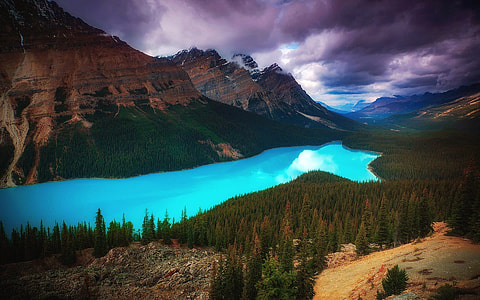 Lake in the Mountain with trees and forest landscape thumbnail