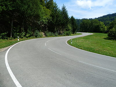 winding road between grass field and forest under cumulus clouds thumbnail