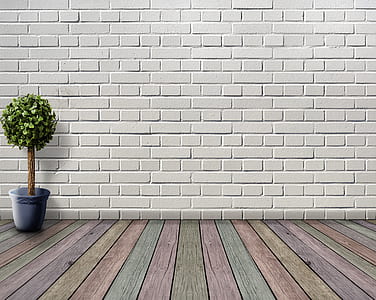 green potted plant thumbnail