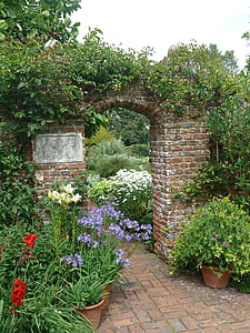 assorted plants surrounding garden arch thumbnail
