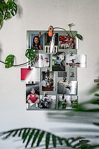 photo collage clipped on wal thumbnail