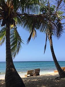 two empty loungers near palm trees at shoreline thumbnail