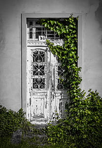 white wooden doors thumbnail