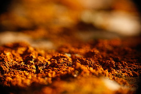 shallow focus photography of brown soils thumbnail