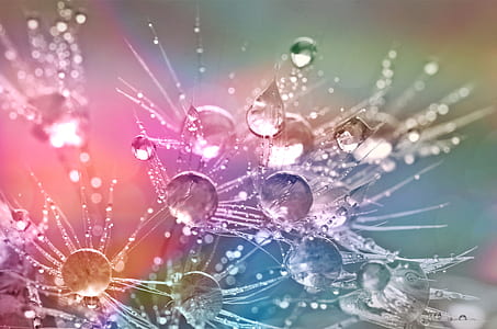 pink and blue water droplets thumbnail