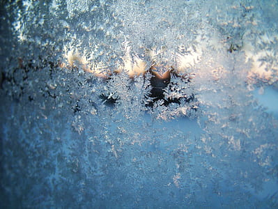frost, winter, morning, snow, season, white thumbnail
