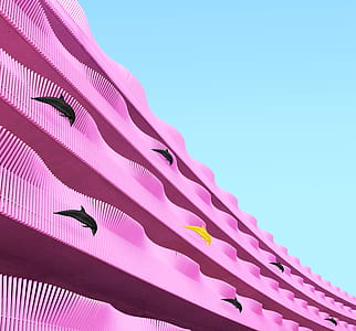 school of dolphins artwork thumbnail