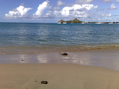 brown seashore and body of water under gray and blue skies thumbnail