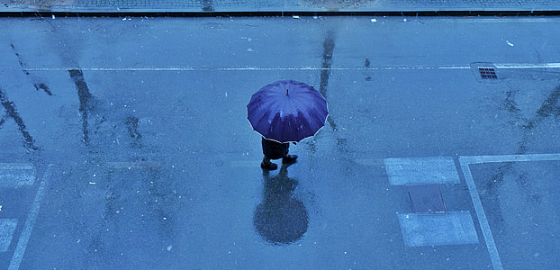 person walking on road with blue umbrella thumbnail