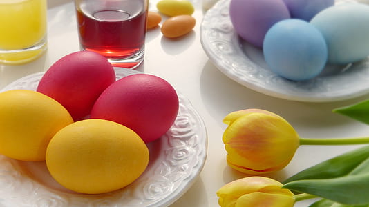 two red and yellow eggs on white saucer beside yellow tulip flower thumbnail