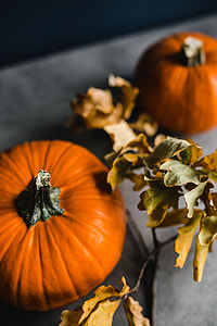 Autumn Pumpkin thumbnail