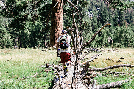 man standing tear brown tree during daytime thumbnail