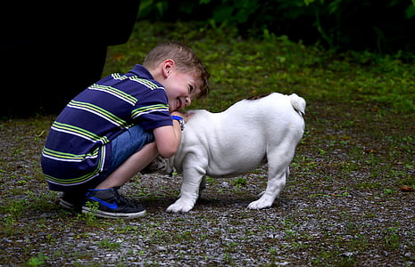 boy hogging English bulldog puppy at daytime thumbnail