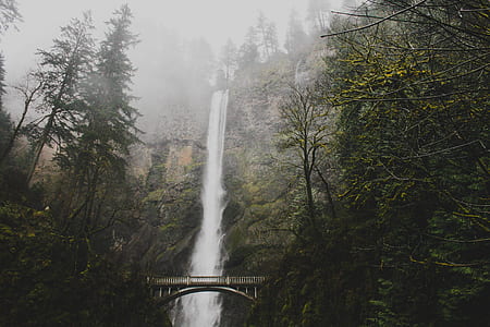 flunge waterfalls at the middle of forest thumbnail
