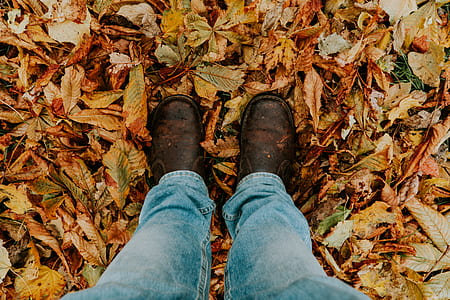 person stepping on dried leaves thumbnail
