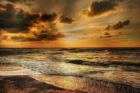 view of seashore during golden hour thumbnail