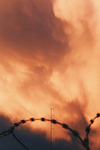 wildfires smoke photograph thumbnail